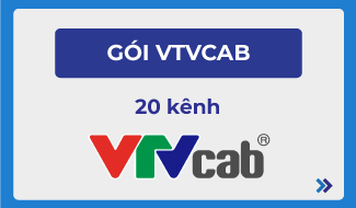 GÓI VTVCAB